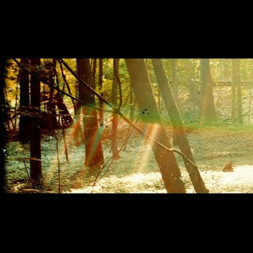 Childish Gambino - Camp | Glassnote Entertainment Group LLC (GLS012102IV)