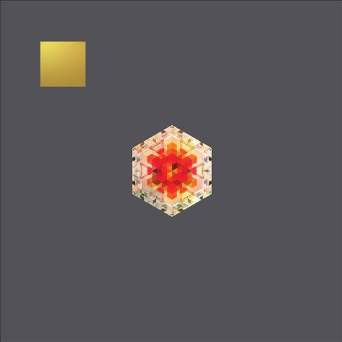 Gold Panda - Half Of Where You Live | Notown (NOTOWN-020) - main