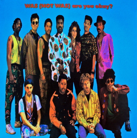 Was (Not Was) - Are You Okay? | Fontana (846 351-1)