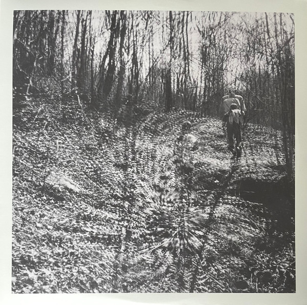Topographies - Interior Spring | Dark Entries (DE-319)