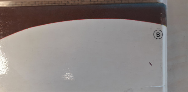 Led Zeppelin - Led Zeppelin II | Atlantic (40 037) - 4