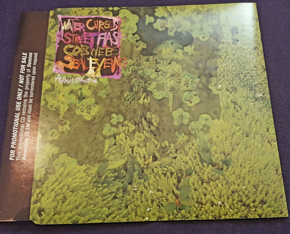 Animal Collective - Water Curses | Domino (RUG287CDP)