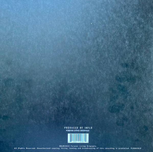 Sault - Untitled (God) | Forever Living Originals (FLO0015LP) - 4 Sault - Untitled (God) | Forever Living Originals (FLO0015LP) - 4