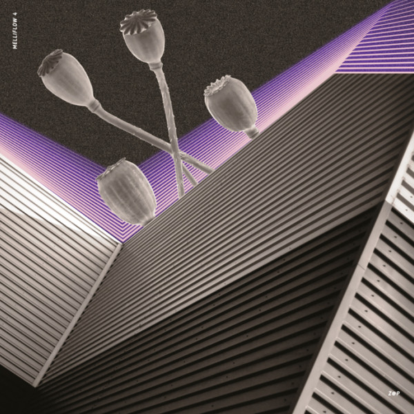 Z@P - Sonic Utopia EP | Melliflow (MFLOW4) - main