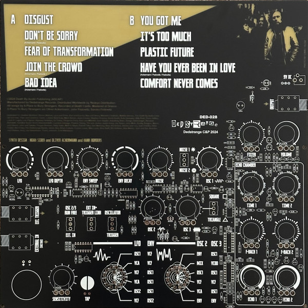 A Place To Bury Strangers - Synthesizer | DedStrange (DED-028-LE) - 3