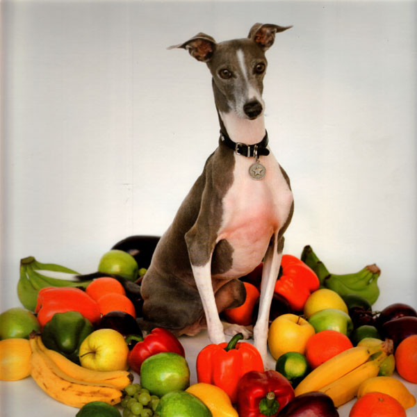 Shellac - Excellent Italian Greyhound | Touch And Go (TG303) - 3