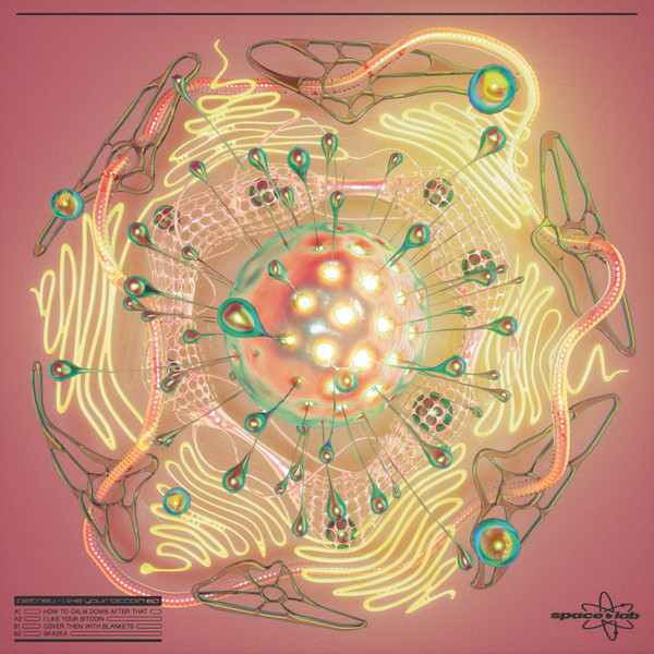 Pletnev - I Like Your Bitcoin EP | space lab (SL013) - 2 Pletnev - I Like Your Bitcoin EP | space lab (SL013) - 2