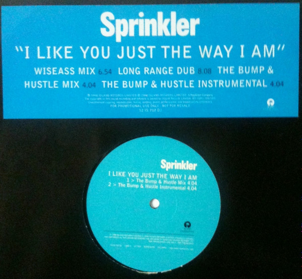 Sprinkler - I Like You Just The Way I Am | Island Records (12 IS 712 DJ)