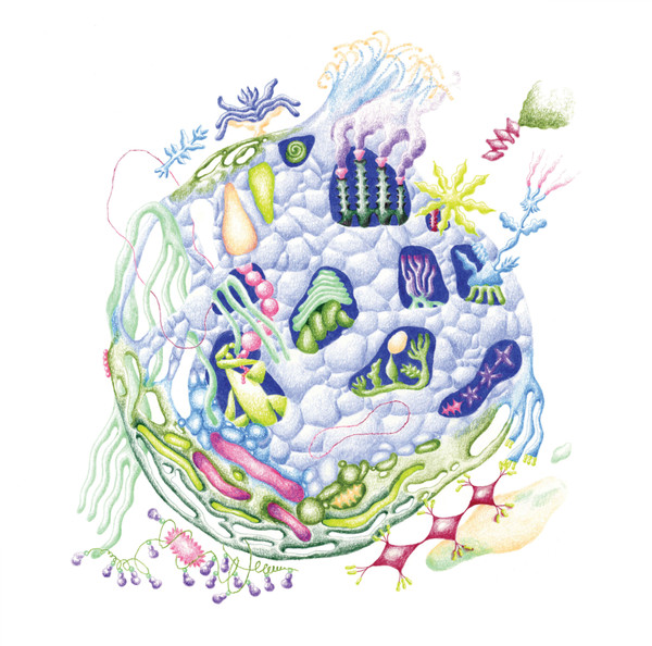 David Edren - Binnenin | Black Sweat Records (BS086)