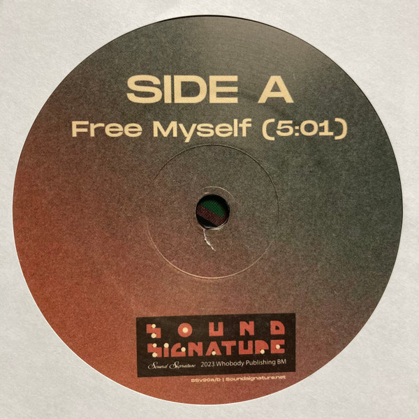Theo Parrish , Maurissa Rose - Free Myself / The Truth | Sound Signature (SSv090 a/b) - 2