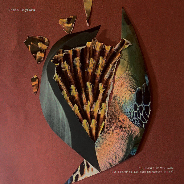 James Hayford / Bigga Bush - Split EP | Filtered Deluxe Recordings (FDRV01)