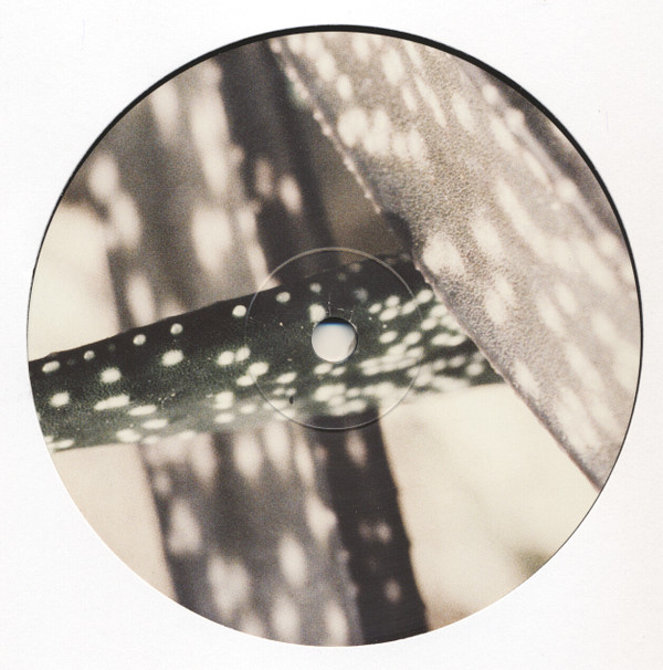 S.A.M. - Delaphine 007 | Delaphine (DELAPHINE007) - 2