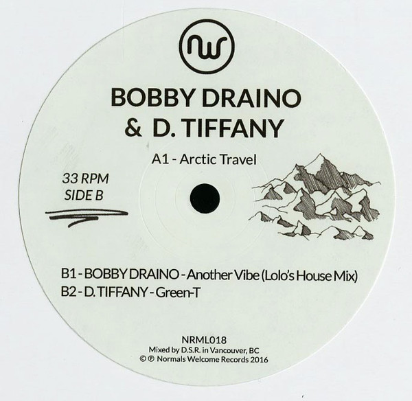 Bobby Draino & D. Tiffany - Arctic Travel | Normals Welcome Records (NRML018) - main