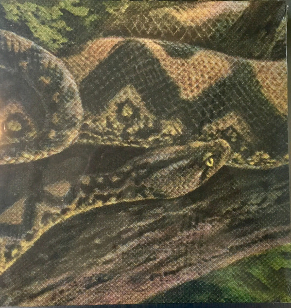 Rainforest Spiritual Enslavement - Ambient Black Magic | Hospital Productions (HOS-498) - main