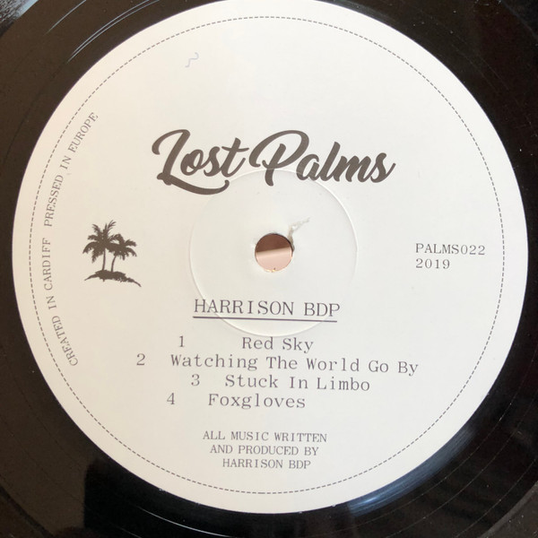 Harrison BDP - Watching The World Go By EP | Lost Palms (PALMS022)