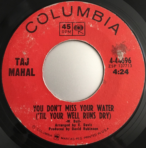 Taj Mahal - You Don't Miss Your Water ('Til Your Well Runs Dry) / Going Up To The Country, Paint My Mailbox Blue | Columbia (4-44696) - main Taj Mahal - You Don't Miss Your Water ('Til Your Well Runs Dry) / Going Up To The Country, Paint My Mailbox Blue | Columbia (4-44696) - main