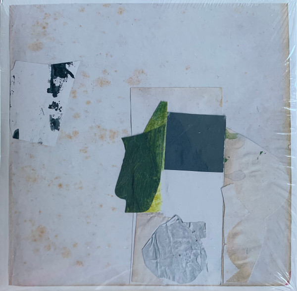 Claire Rousay - Everything Perfect Is Already Here | Shelter Press (SP134)