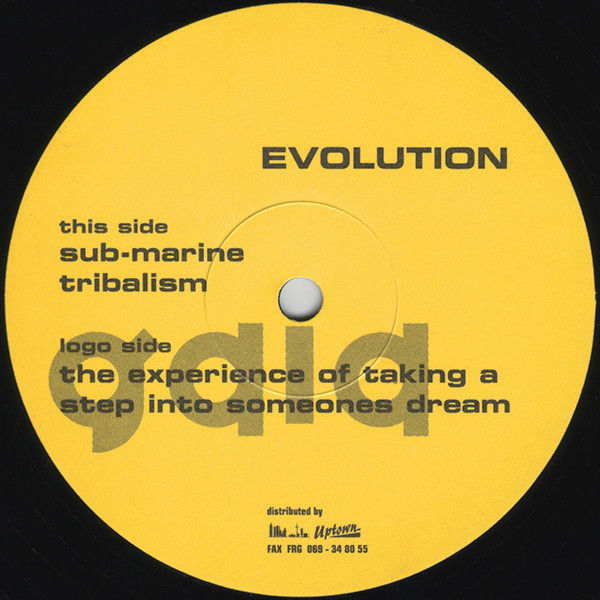 Evolution - The Experience Of Taking A Step Into Someones Dream | Gaia Tonträger (GT005) - main