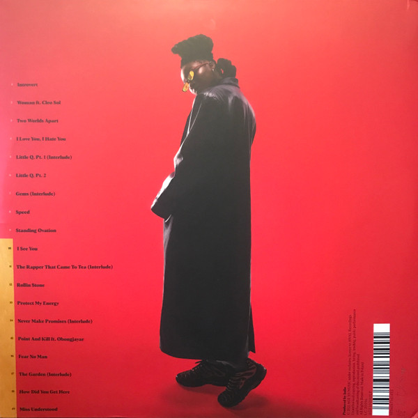 Little Simz - Sometimes I Might Be Introvert | Age 101 Music (AGE101002LP) - 3 Little Simz - Sometimes I Might Be Introvert | Age 101 Music (AGE101002LP) - 3