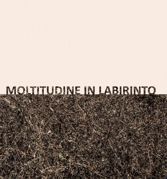 Gigi Masin & Giuseppe Caprioli - Moltitudine In Labirinto | 13 (sps2482) - 2
