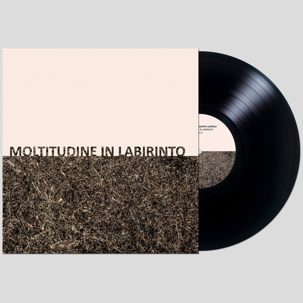 Gigi Masin & Giuseppe Caprioli - Moltitudine In Labirinto | 13 (sps2482) - main