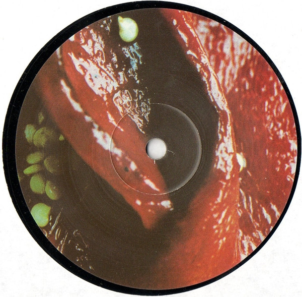 Finitribe - Flying Peppers | Infectious Records (INFECT42TX) - 4 Finitribe - Flying Peppers | Infectious Records (INFECT42TX) - 4