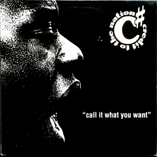 Credit To The Nation - Call It What You Want | One Little Indian (94 TP 12)