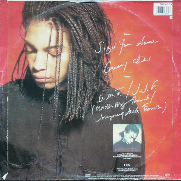Terence Trent D'Arby - Sign Your Name | CBS (TRENT T4) - 2