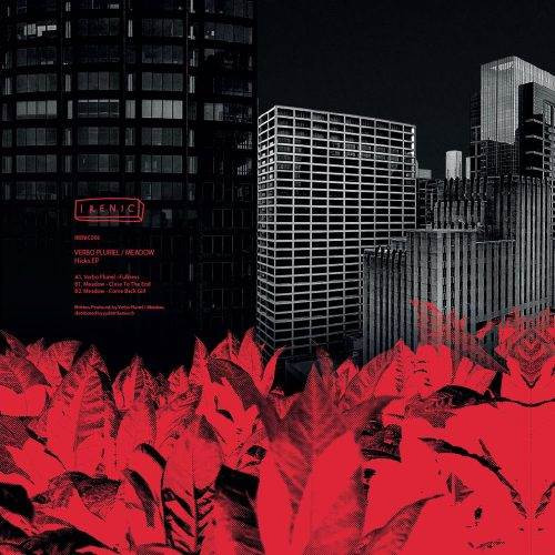 Verbo Pluriel / Meadow - Hicks EP | Irenic (IRENIC006) - 2 Verbo Pluriel / Meadow - Hicks EP | Irenic (IRENIC006) - 2
