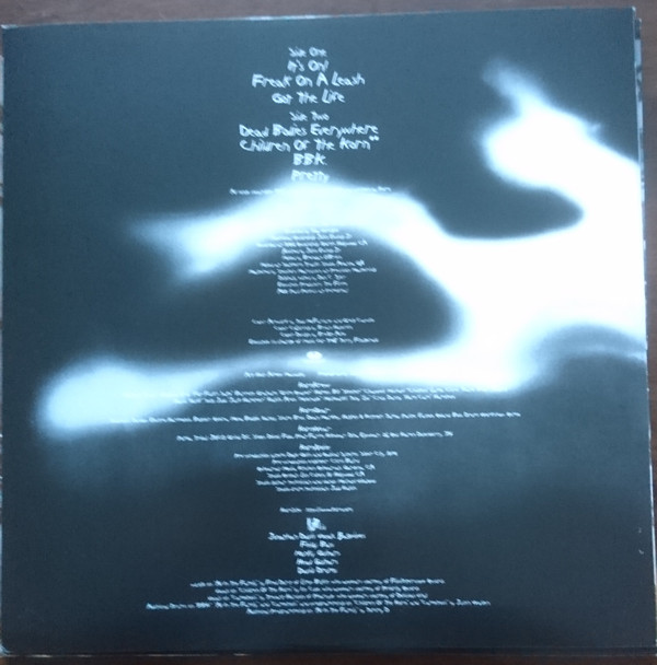 Korn - Follow The Leader | Music On Vinyl (MOVLP667) - 3