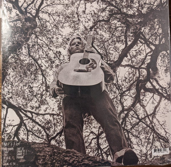 Ty Segall - "Hello, Hi" | Drag City (DC830) - 2