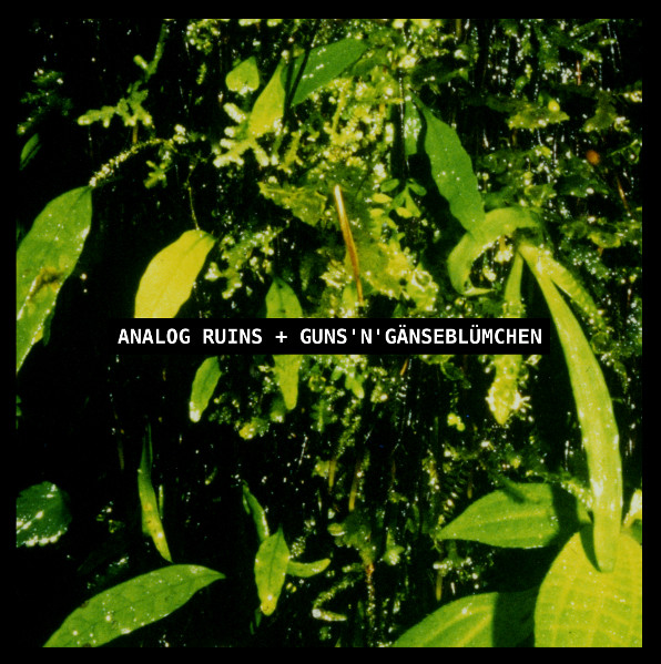 Guns'n'Gänseblümchen , Analog Ruins - Split | Donnez-moi du feu (#21)