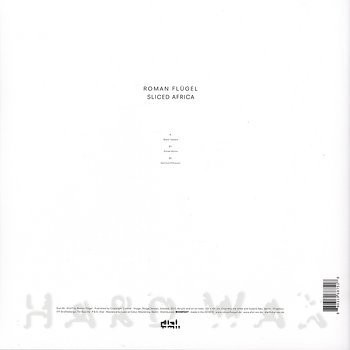 Roman Flügel - Sliced Africa | Dial (dialrec 69) - 2 Roman Flügel - Sliced Africa | Dial (dialrec 69) - 2