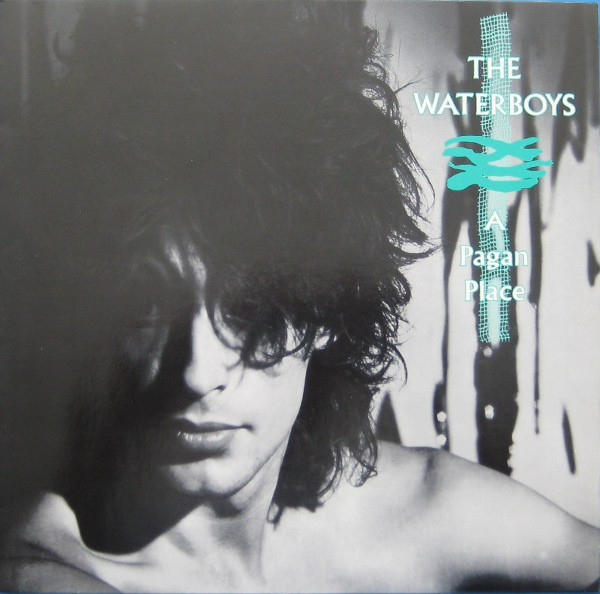 The Waterboys - A Pagan Place | Island Records (206 353) - main