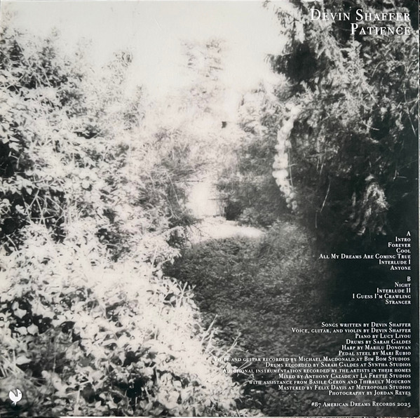 Devin Shaffer - Patience | American Dreams Records (87ADR) - 2 Devin Shaffer - Patience | American Dreams Records (87ADR) - 2